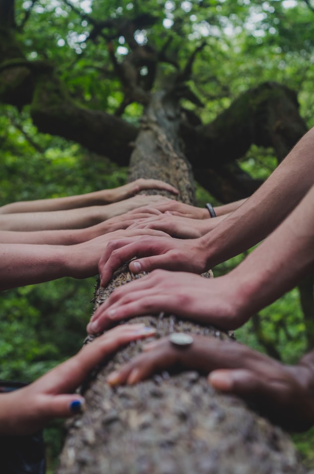 Several sets of hands resting on a log